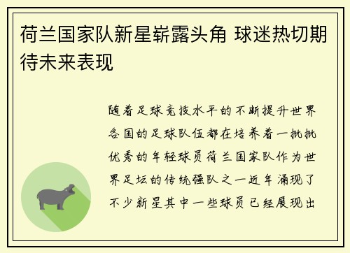 荷兰国家队新星崭露头角 球迷热切期待未来表现
