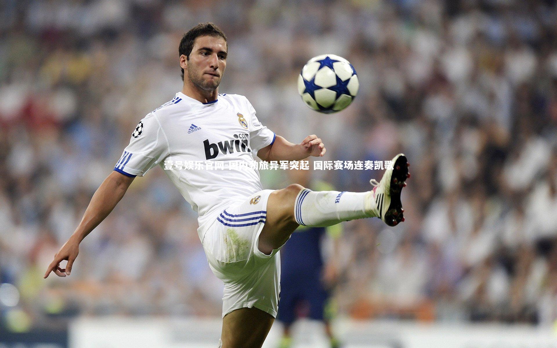 国内劲旅异军突起 国际赛场连奏凯歌