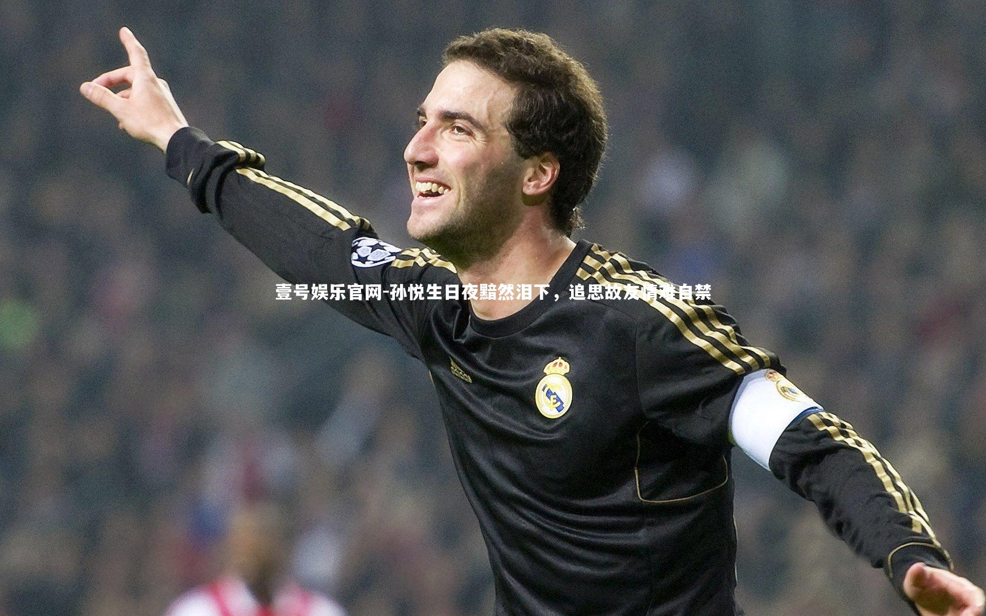 孙悦生日夜黯然泪下，追思故友情难自禁